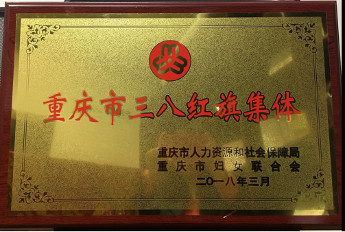 重庆市三八红旗集体-1