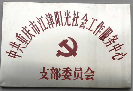 中心党支部-1