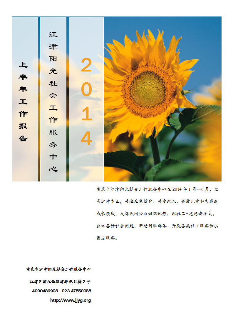 2014年上半年总结报告-1
