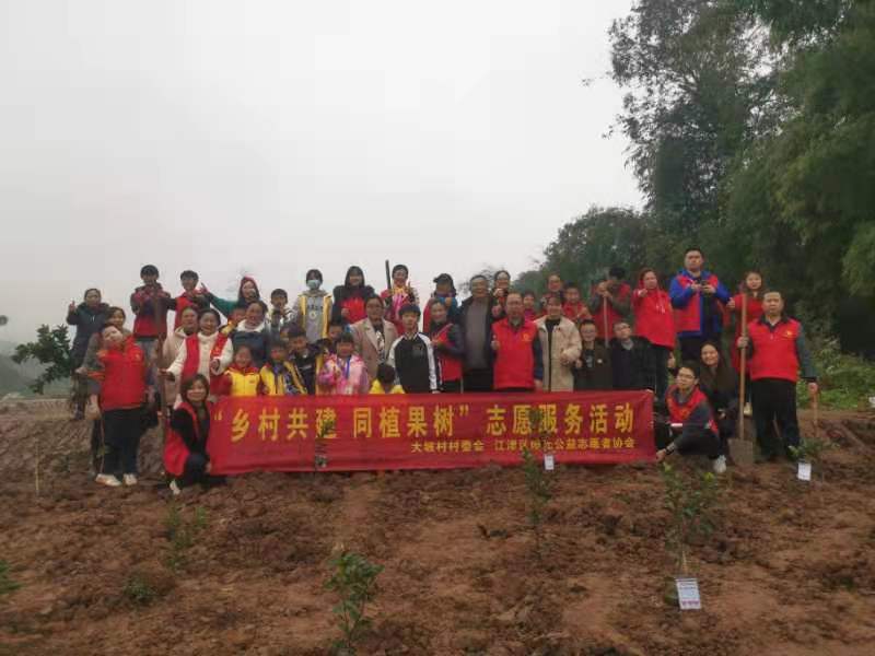 乡村共建，同植果树-2