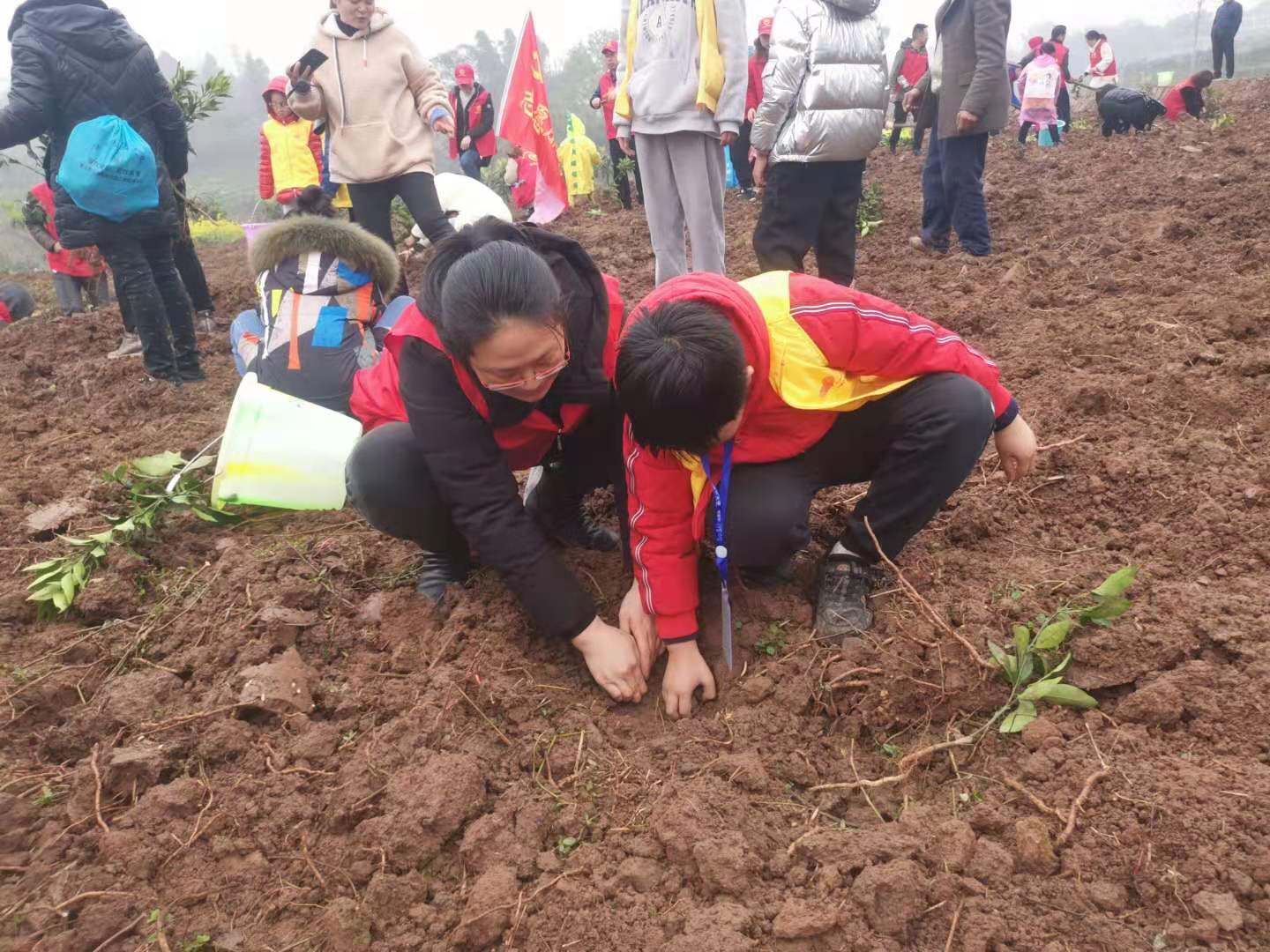 乡村共建，同植果树-3